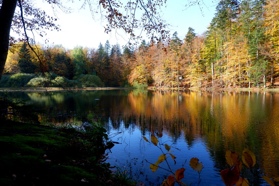 Bieszczady - kiedy najlepiej jechać?