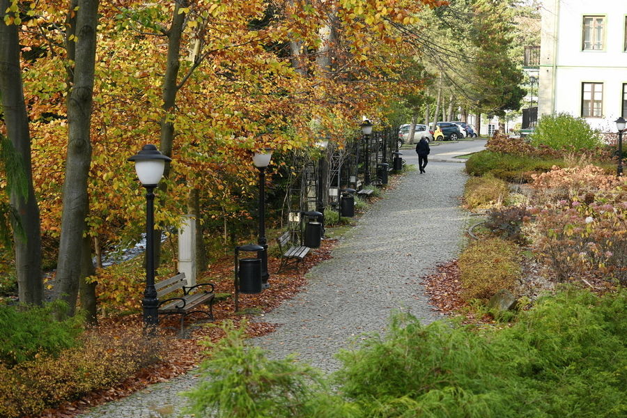 Iwonicz-Zdr&oacute;j - ścieżka przez park