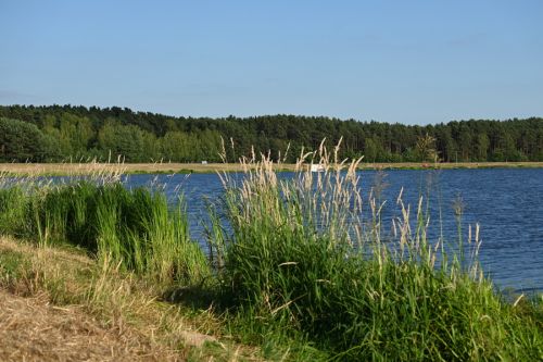 Jezioro w Mokrzcu