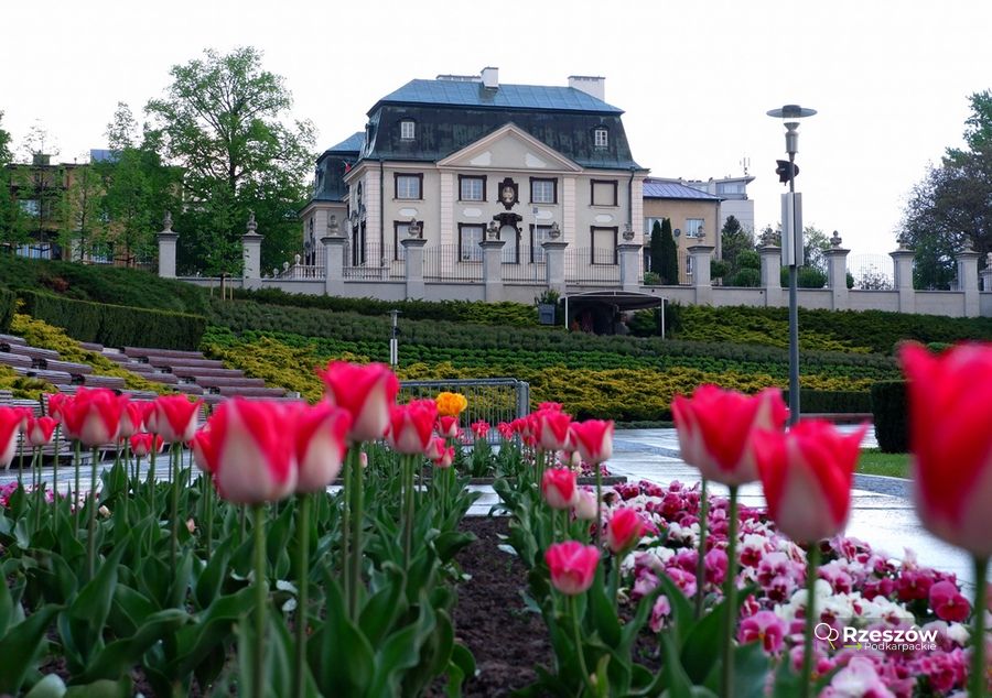 pałac Lubomirskich w Rzeszowie