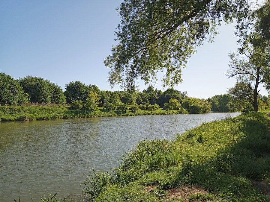 Łowisko nad Wisłokiem na Podkarpaciu
