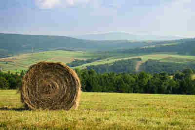 Beskid Niski