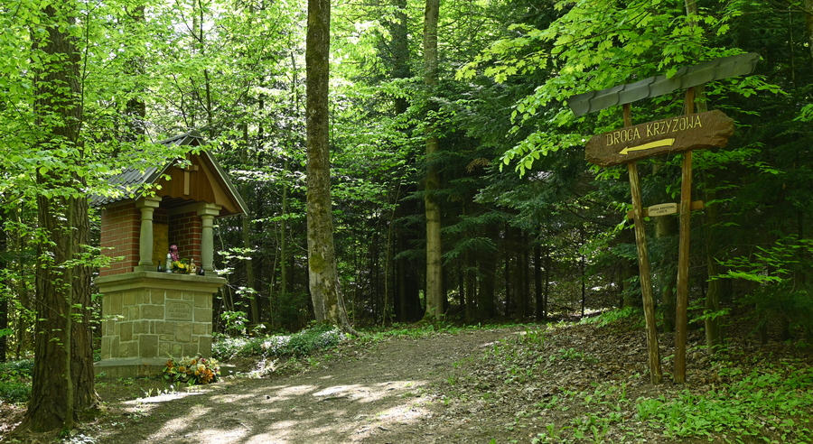 droga krzyżowa wok&oacute;ł Pustelni