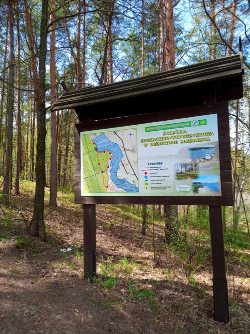 ścieżka przyrodniczo-edukacyjna Maziarnia w Wilczej Woli