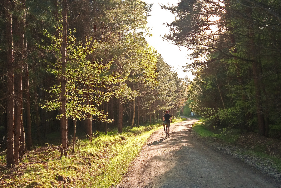 Radawa - ścieżka rowerowa