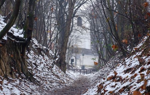 Wąw&oacute;z Kr&oacute;lowej Jadwigi 