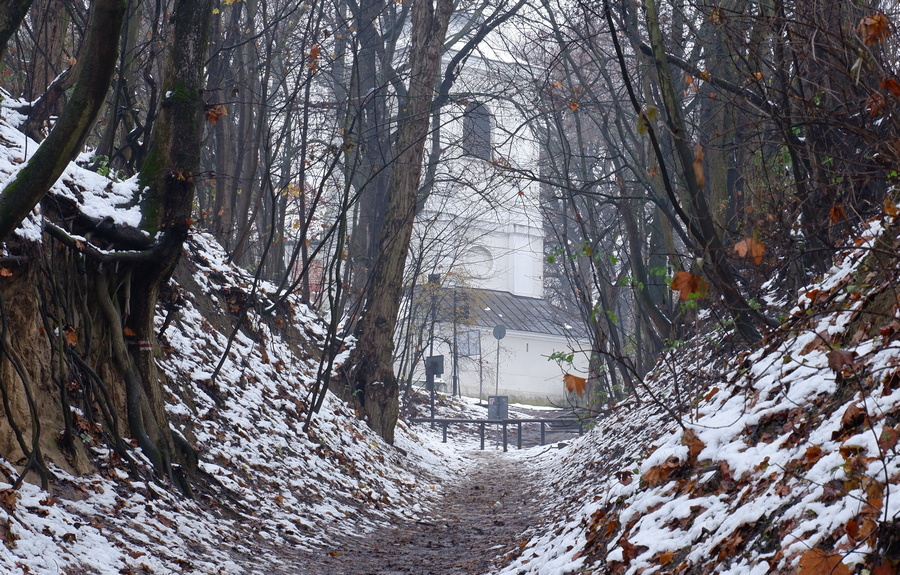 Wąw&oacute;z Kr&oacute;lowej Jadwigi 