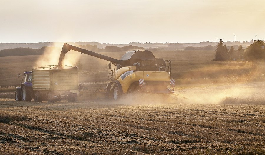 koszenie zboża na skup