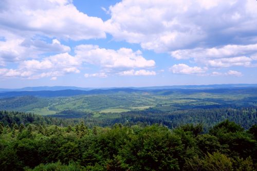 wieża widokowa muczne