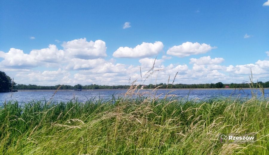 jezioro w Wilczej Woli