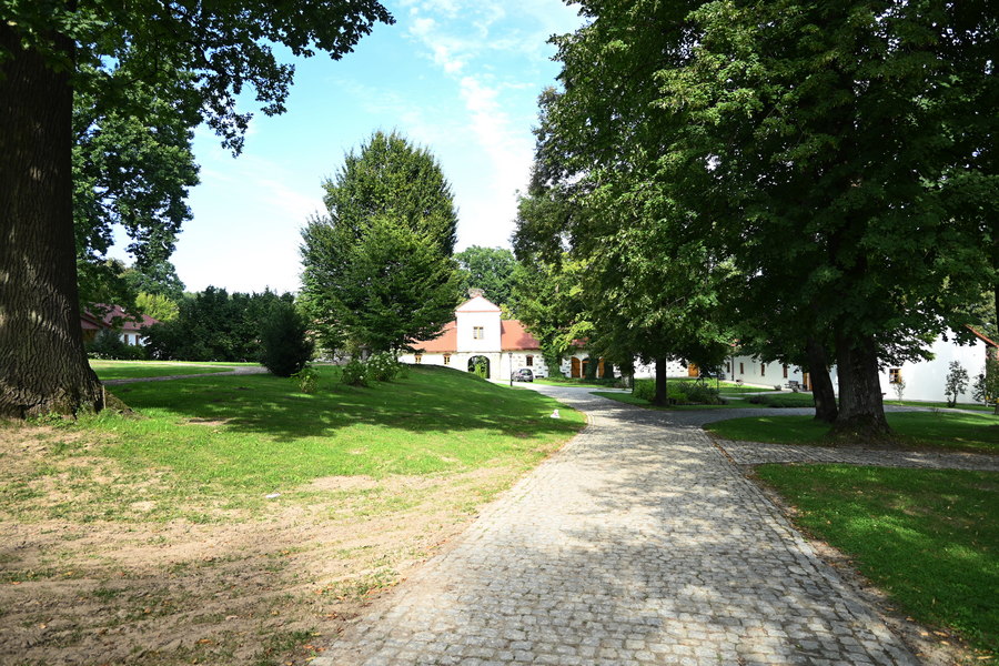 Zesp&oacute;ł dworski w Wiśniowej