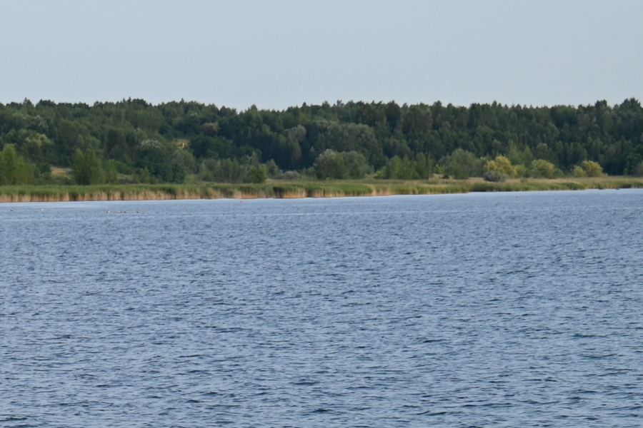 Zalew Nowa Dęba &ndash; plaża i ścieżka spacerowa